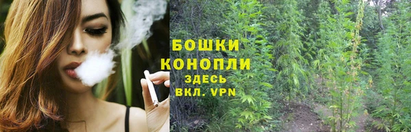 каннабис Алзамай