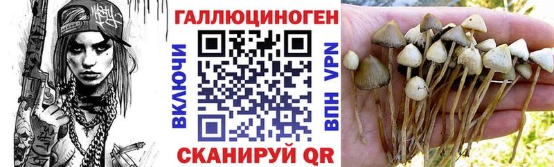 где найти наркотики  Кондопога  Галлюциногенные грибы Magic Shrooms 
