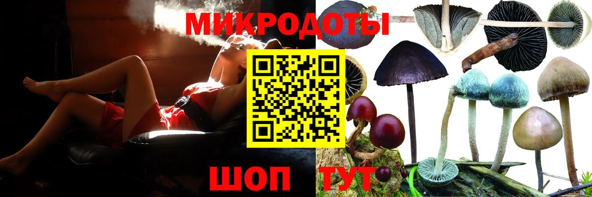 Кондопога  где можно купить наркотик  Вход с VPN  Галлюциногенные грибы мицелий  Псилоцибиновые грибы мицелий 